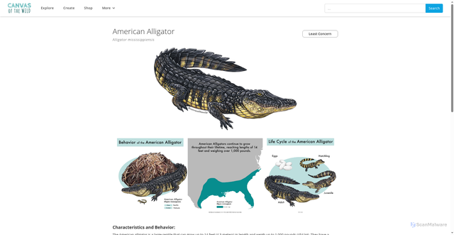 Security scan screenshot of https://www.canvasofthewild.com/species/american-alligator