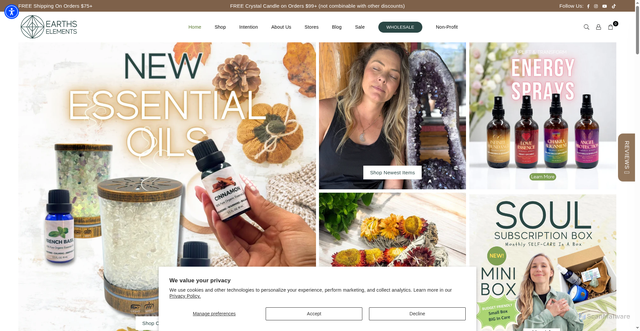 Security scan screenshot of https://www.earthselements.com/?srsltid=AfmBOoovozyagYuj4yTuuC4_bcJFySstttHBnZMFbjnzEJ0kgBD3yI-t