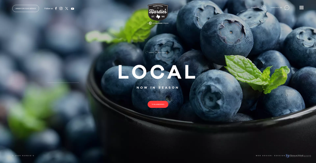 Security scan screenshot of https://www.hardies.com