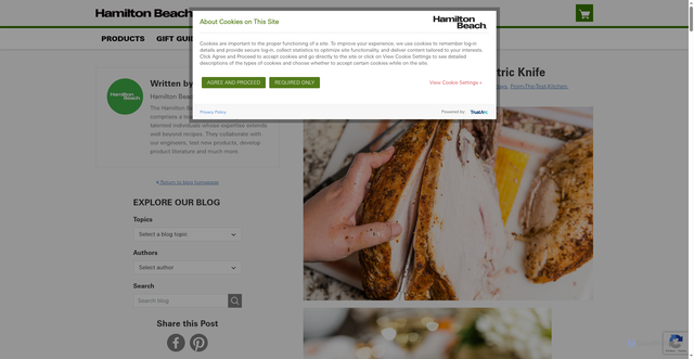 Security scan screenshot of https://blog.hamiltonbeach.com/how-to-carve-a-turkey-with-an-electric-knife/