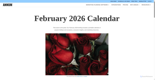Security scan screenshot of https://annumplanning.com/february-printable-calendar/
