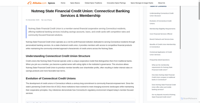 Security scan screenshot of https://spice.alibaba.com/spice-basics/nutmeg-state-financial-credit-union