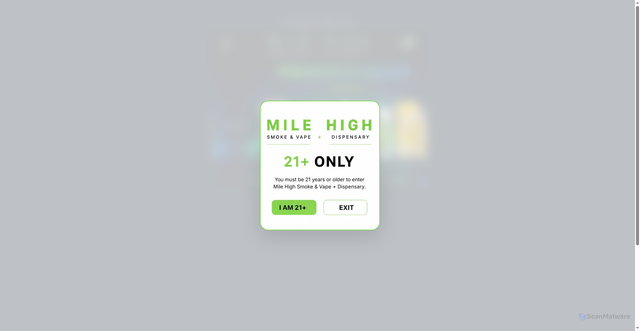 Security scan screenshot of https://rough-salmon-wmwbwaal-dpdxldn6ekjy.edgeone.app/