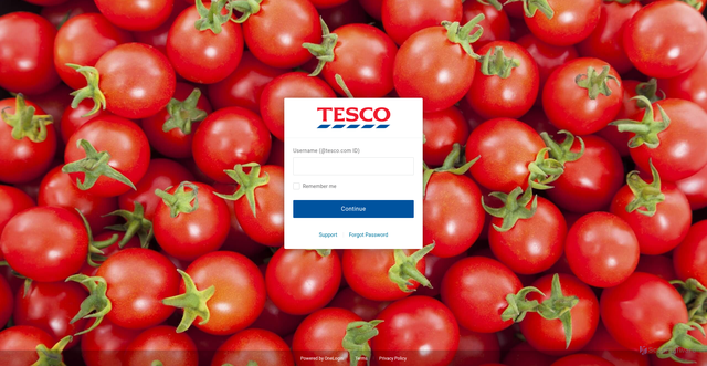 Security scan screenshot of https://login.ourtesco.com