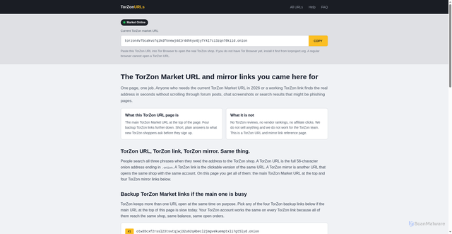 Security scan screenshot of https://torzonurls.online/