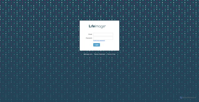 Security scan screenshot of https://cloud-lila.lifeimage.com