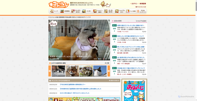 Security scan screenshot of https://neko-jirushi.com