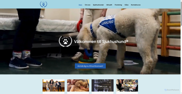Security scan screenshot of https://sjukhushund.se