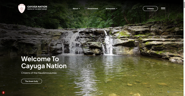 Security scan screenshot of https://cayuganation-nsn.gov/