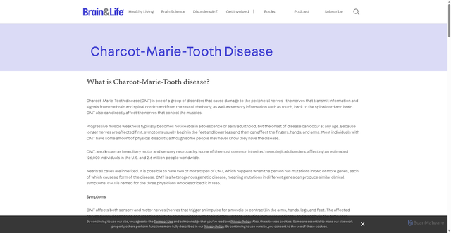 Security scan screenshot of https://www.brainandlife.org/disorders/charcot-marie-tooth-disease