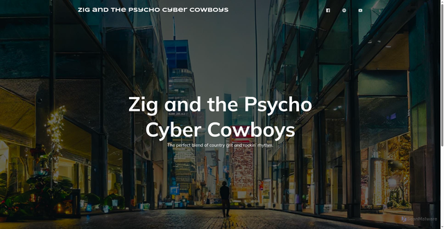 Security scan screenshot of https://www.zigpsychocybercowboys.com