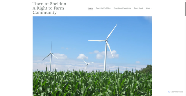 Security scan screenshot of https://townofsheldonny.gov/