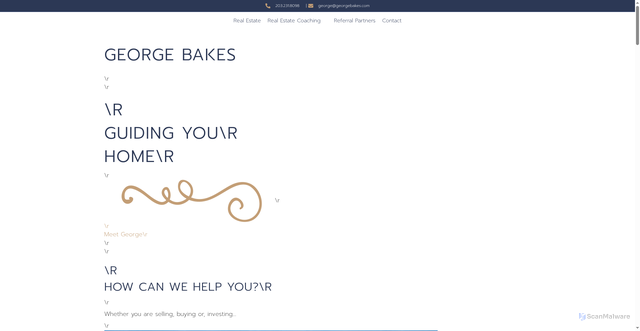 Security scan screenshot of https://georgebakes.com