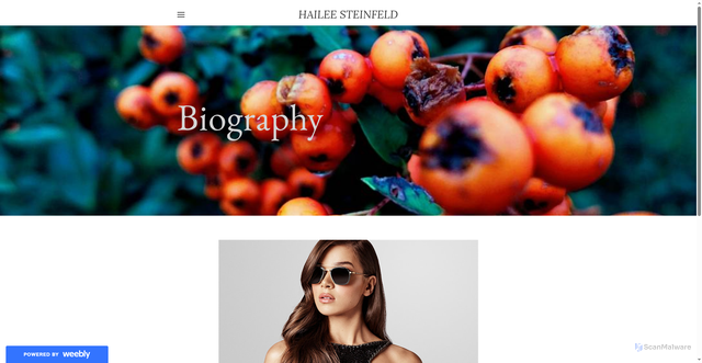 Security scan screenshot of https://haileesteinfeldlover.weebly.com/about.html