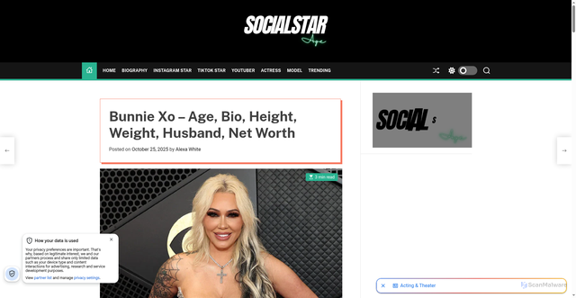Security scan screenshot of https://socialstarage.com/bunnie-xo/