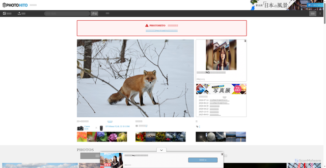 Security scan screenshot of https://photohito.com