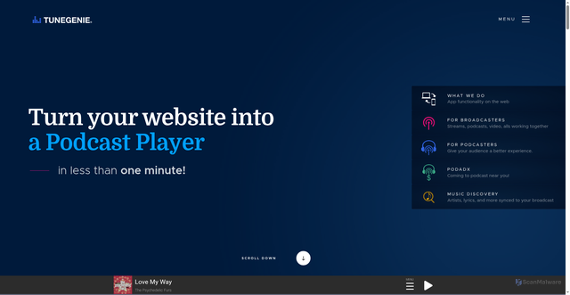 Security scan screenshot of https://tunegenie.com