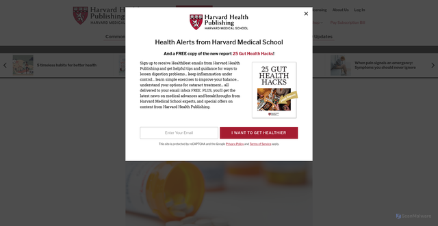 Security scan screenshot of https://www.health.harvard.edu/blog/what-should-you-do-if-your-blood-pressure-medication-has-been-recalled-2019080517434