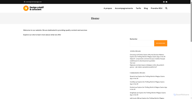 Security scan screenshot of https://noemielecorps.fr