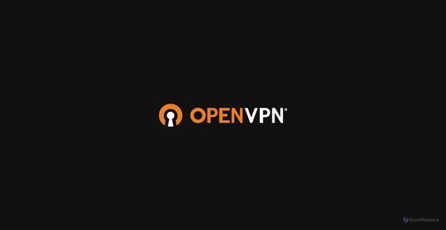 Security scan screenshot of https://swupdate.openvpn.org