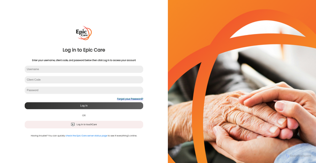Security scan screenshot of https://epiccare.ie