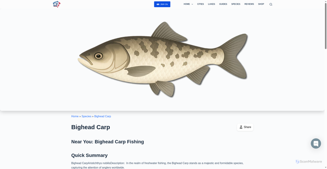 Security scan screenshot of https://bassonline.com/species/bighead-carp/