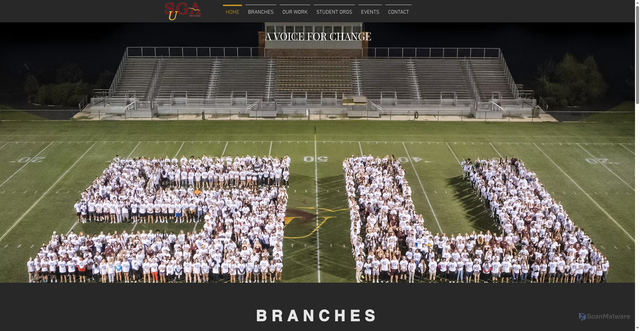 Security scan screenshot of https://www.salisburysga.com/