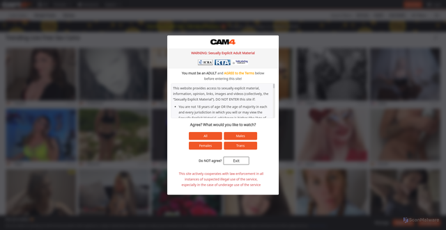 Security scan screenshot of https://www.cam4.eu