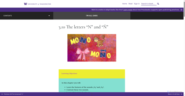 Security scan screenshot of https://uw.pressbooks.pub/jorgestextbook/chapter/the-letter-n/