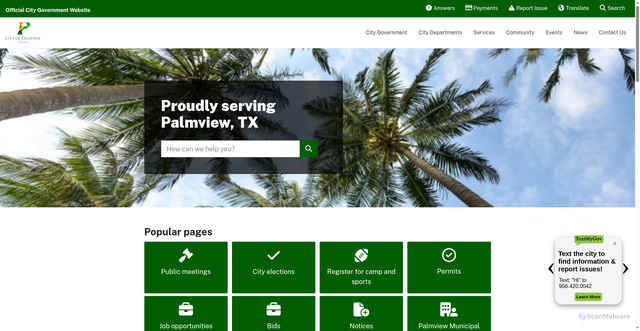 Security scan screenshot of https://cityofpalmview.gov/