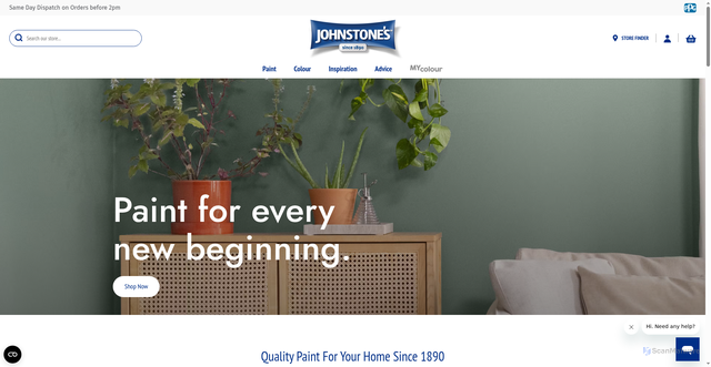 Security scan screenshot of https://www.johnstonespaint.com