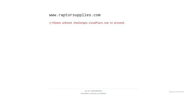 Security scan screenshot of https://www.raptorsupplies.com