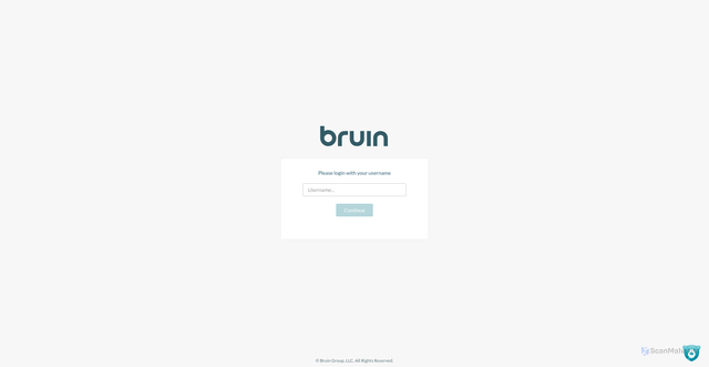 Security scan screenshot of https://app.bruin.com