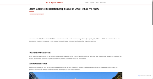 Security scan screenshot of https://vistalokalflow-dpmdyp2ylod7.edgeone.app/brett-goldstein-girlfriend-2025.html