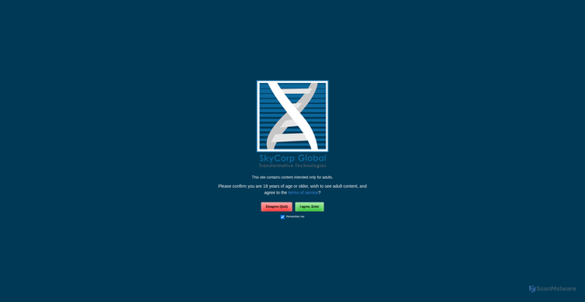 Security scan screenshot of https://skycorp.global