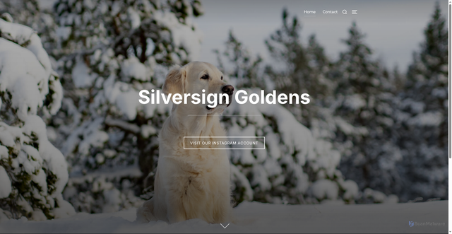 Security scan screenshot of https://silversign.se