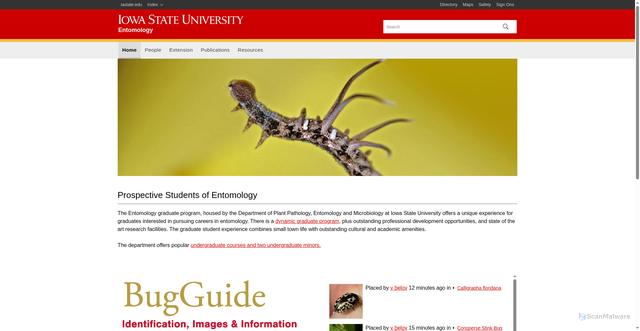 Security scan screenshot of https://ent.iastate.edu