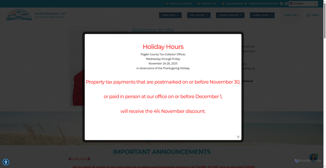 Security scan screenshot of https://www.flaglertax.gov/