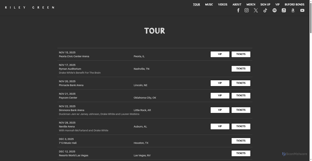 Security scan screenshot of https://www.rileygreenmusic.com/tour/