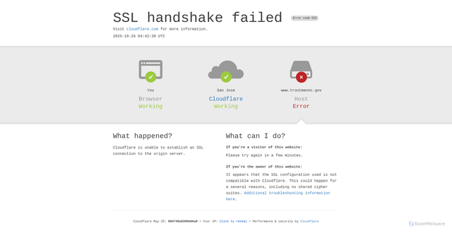 Security scan screenshot of https://www.troutmannc.gov/
