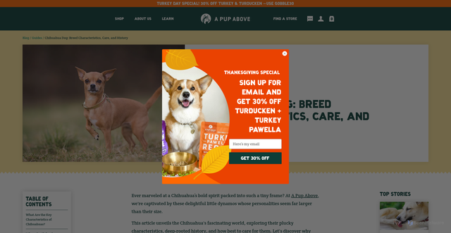 Security scan screenshot of https://apupabove.com/blogs/all/chihuahua-dog