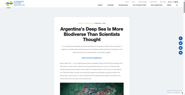 Security scan screenshot of https://schmidtocean.org/argentinas-deep-sea-is-more-biodiverse-than-scientists-thought/