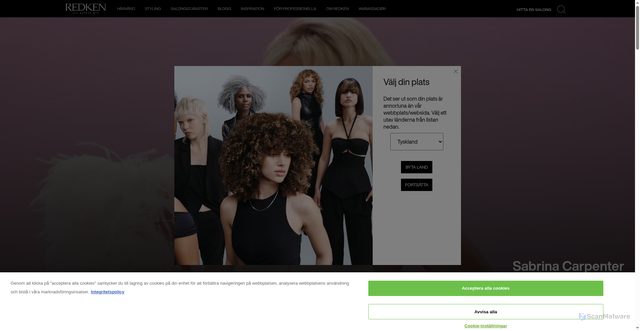 Security scan screenshot of https://www.redken.se/