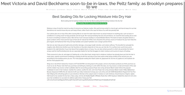 Security scan screenshot of https://oatscblog-eku2b10dwe.edgeone.app/16584-best-sealing-oils-for-locking-moisture-into-dry-hair.html