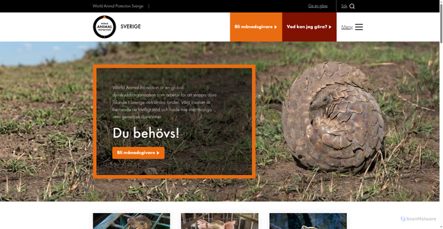 Security scan screenshot of https://www.worldanimalprotection.se/