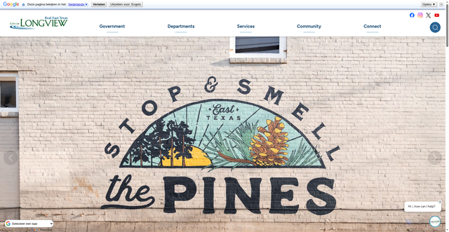 Security scan screenshot of https://www.longviewtexas.gov/