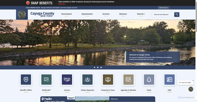 Security scan screenshot of https://www.cayugacounty.us/