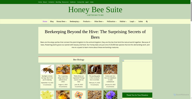 Security scan screenshot of https://www.honeybeesuite.com/