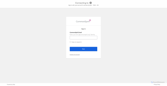 Security scan screenshot of https://team.dignityhealth.org