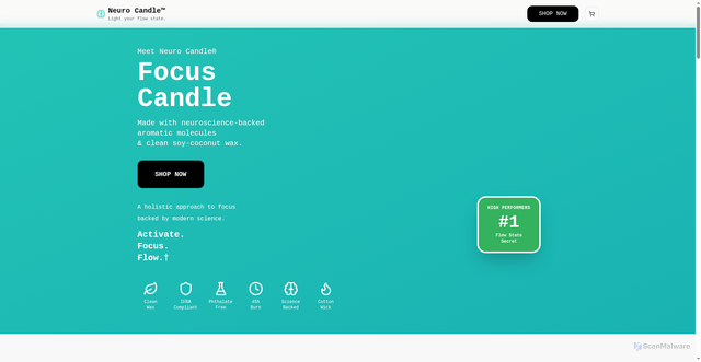 Security scan screenshot of https://neurocandle.com/